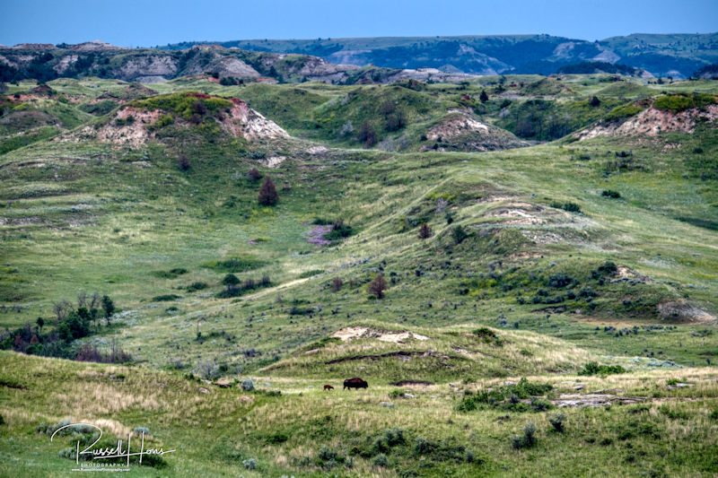 July 2019 Medora, ND Photo by Russell Hons UNHERALDED.FISH
